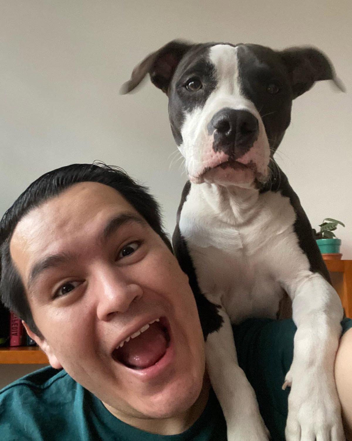 Yael Núñez, Educador y conductista canino